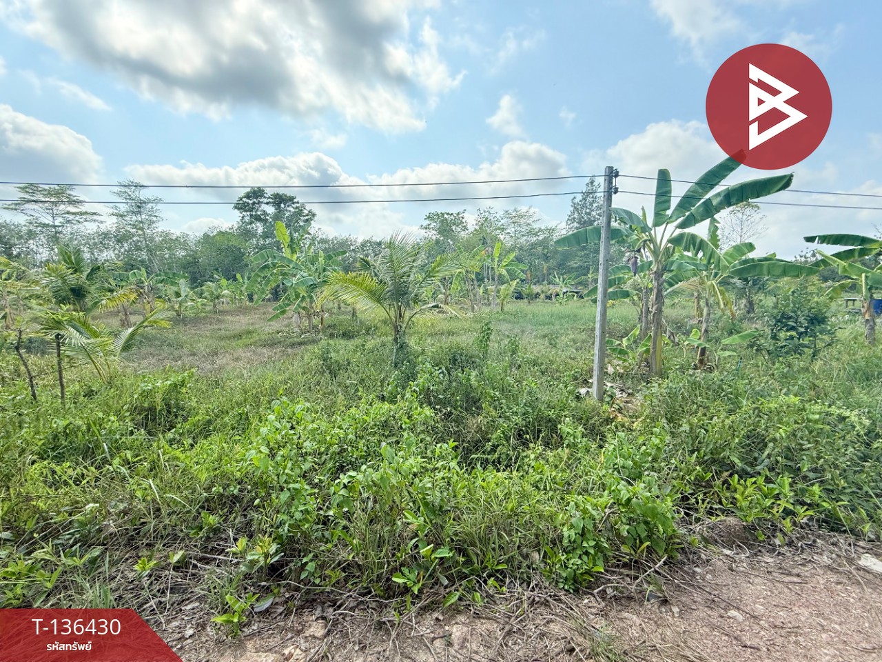 ขายที่ดิน เนื้อที่ 2 ไร่ 2 งาน 52 ตารางวา ต.สนามไชย อ.นายายอาม จ.จันทบุรี 1