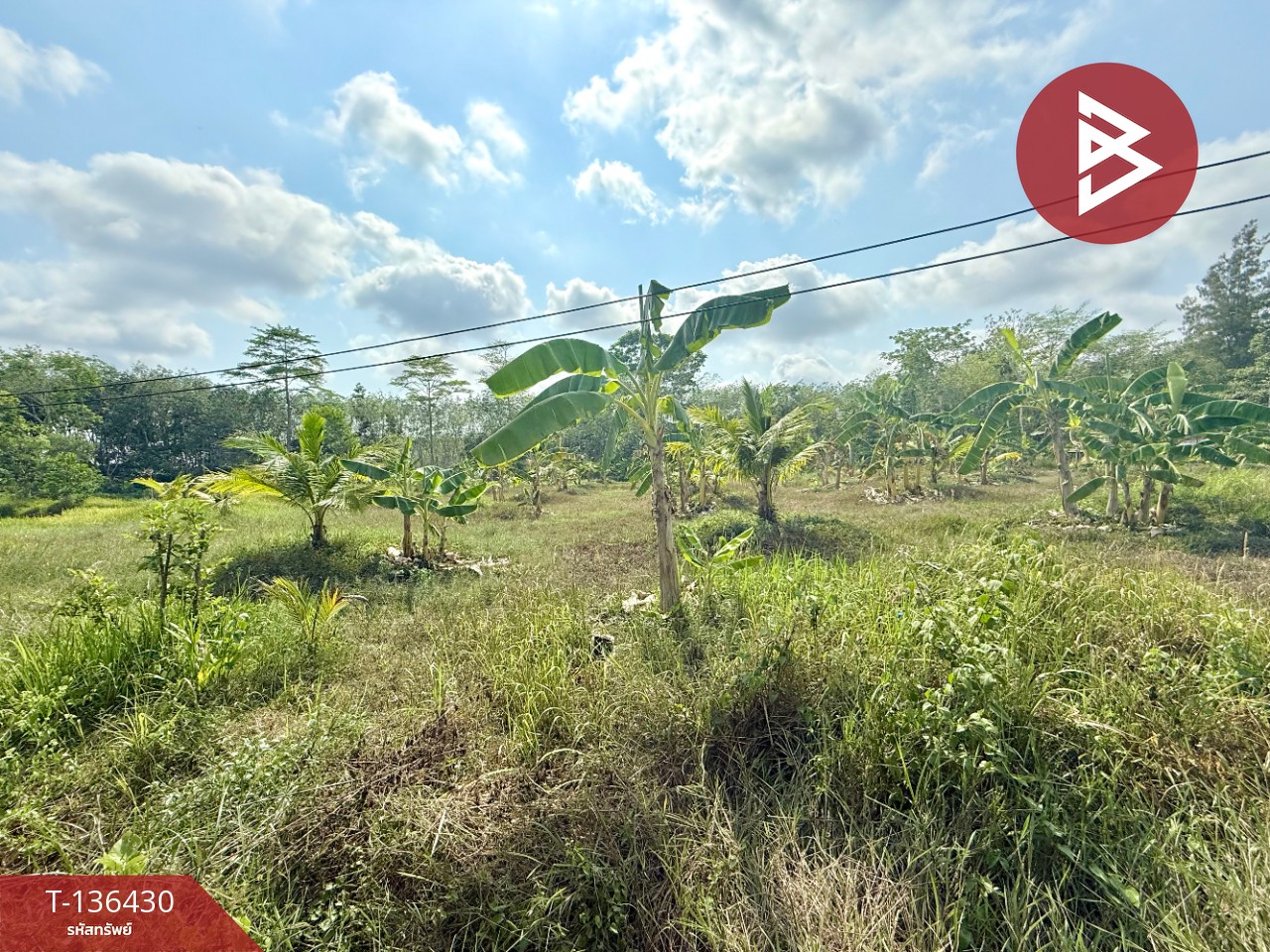 ขายที่ดิน เนื้อที่ 2 ไร่ 2 งาน 52 ตารางวา ต.สนามไชย อ.นายายอาม จ.จันทบุรี 3