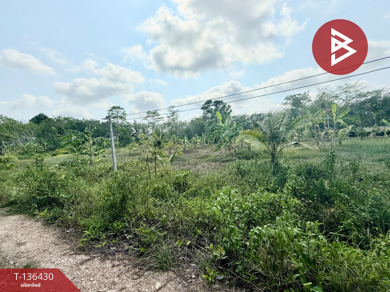 ขายที่ดิน เนื้อที่ 2 ไร่ 2 งาน 52 ตารางวา ต.สนามไชย อ.นายายอาม จ.จันทบุรี 5