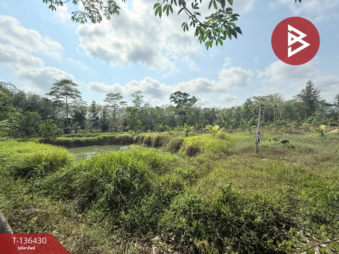 ขายที่ดิน เนื้อที่ 2 ไร่ 2 งาน 52 ตารางวา ต.สนามไชย อ.นายายอาม จ.จันทบุรี 7