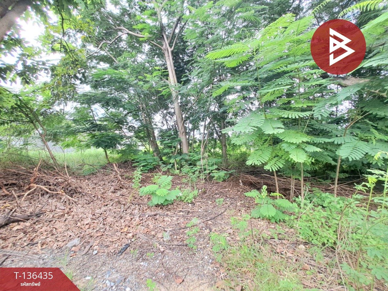 ขายที่ดินเปล่าแปลงสวย เนื้อที่ 3 งาน 66.0 ตร.วา ในสนามกอล์ฟรอยัล ลาดกระบัง-อ่อนนุช สมุทรปราการ 3