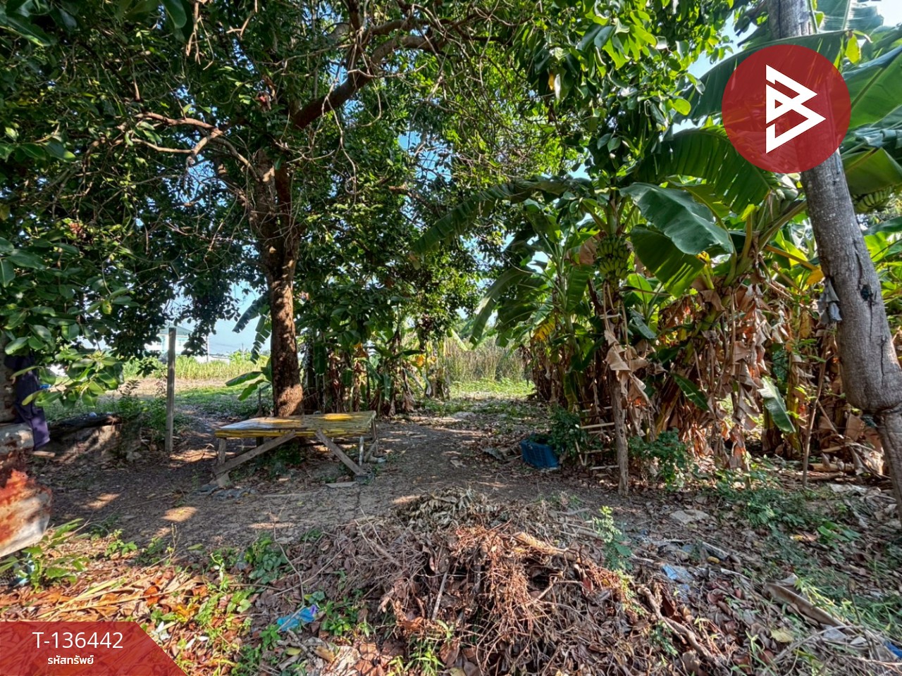 ขายที่ดิน เนื้อที่ 1 ไร่ 2 งาน 15 ตร.วา แปลงยาว ฉะเชิงเทรา 1