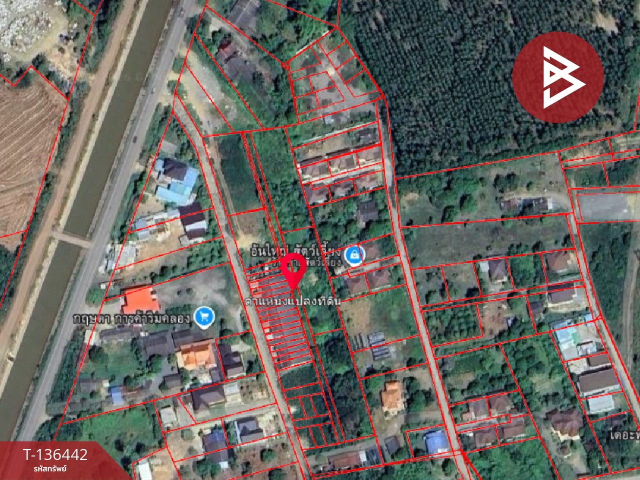 ขายที่ดิน เนื้อที่ 1 ไร่ 2 งาน 15 ตร.วา แปลงยาว ฉะเชิงเทรา 6