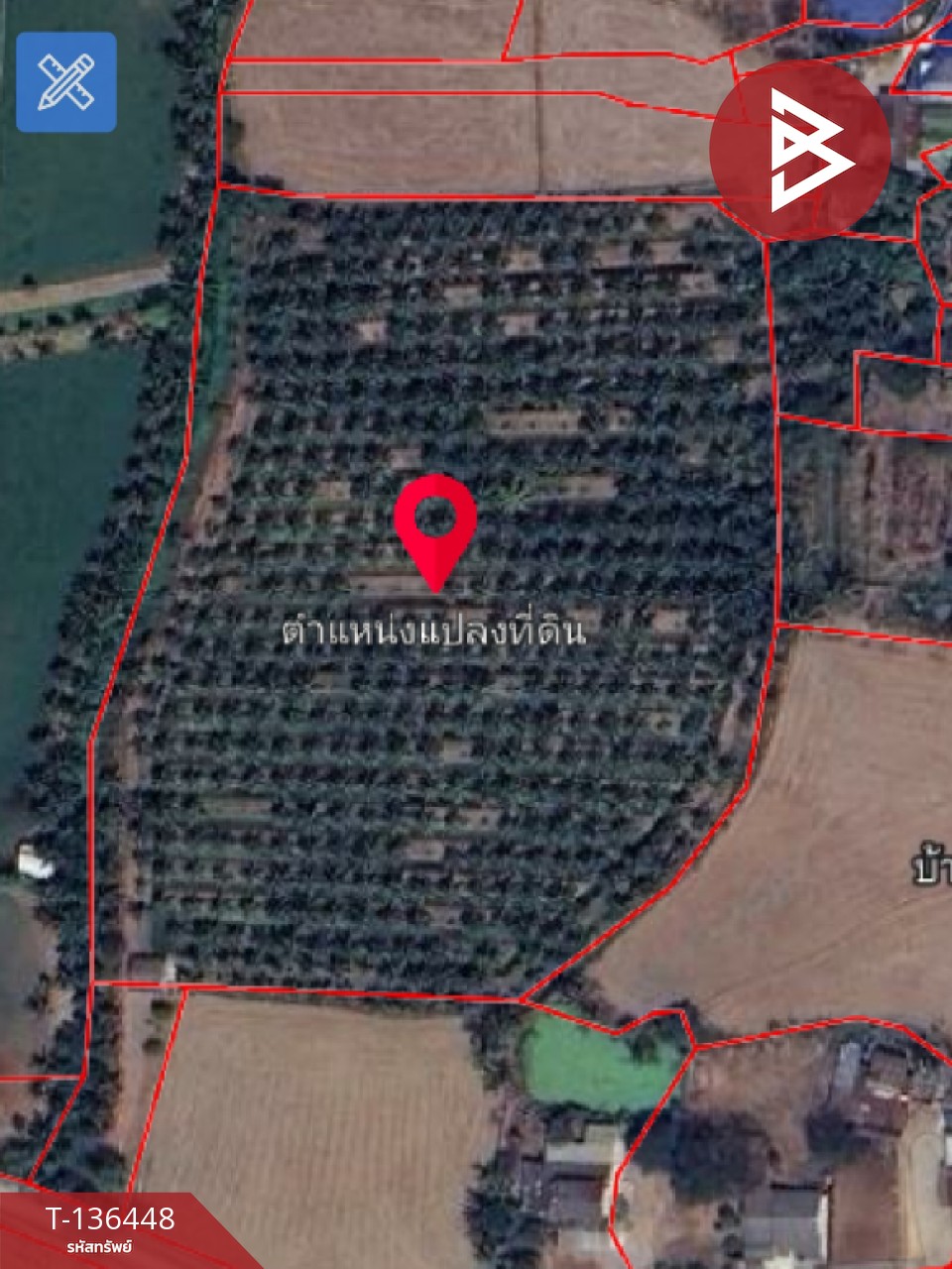 ขายที่ดินสวนมะพร้าวอ่อน เนื้อที่ 13 ไร่ 3 งาน 61.6 ตร.วา ปากท่อ ราชบุรี 8