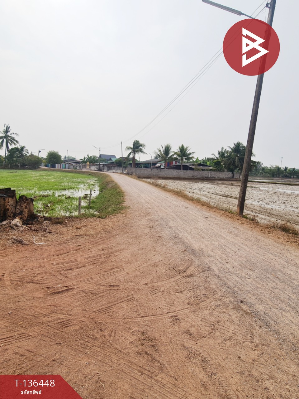 ขายที่ดินสวนมะพร้าวอ่อน เนื้อที่ 13 ไร่ 3 งาน 61.6 ตร.วา ปากท่อ ราชบุรี 5