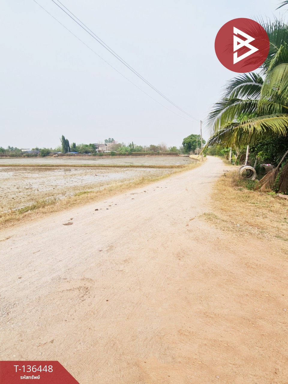 ขายที่ดินสวนมะพร้าวอ่อน เนื้อที่ 13 ไร่ 3 งาน 61.6 ตร.วา ปากท่อ ราชบุรี 6