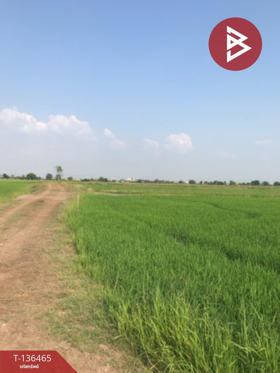 ขายที่ดิน เนื้อที่ 16 ไร่ 3 งาน 4.0 ตารางวา ต.ปากกราน พระนครศรีอยุธยา พื้นที่กว้าง 3