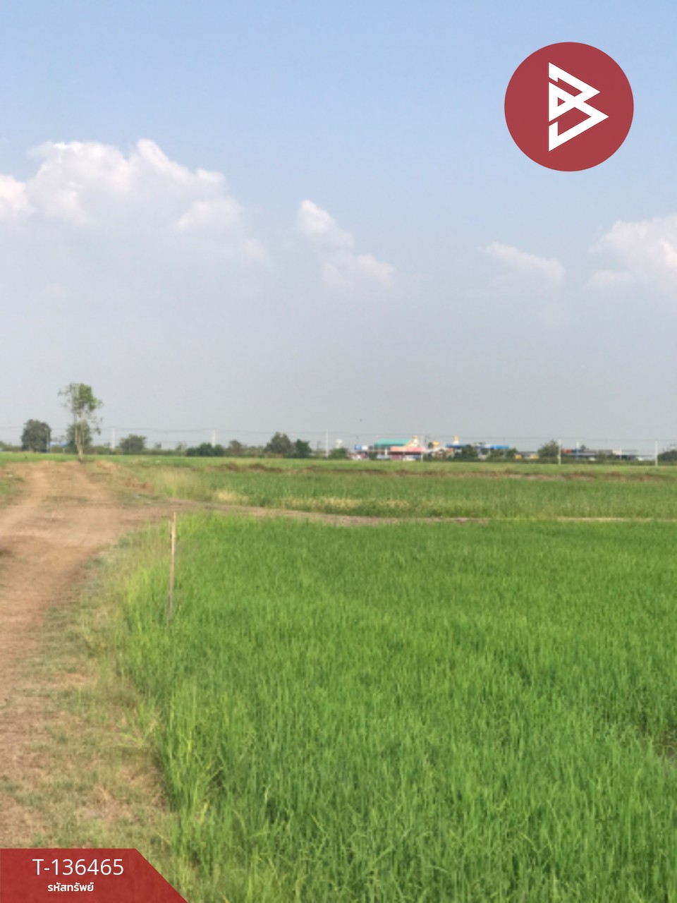 ขายที่ดิน เนื้อที่ 16 ไร่ 3 งาน 4.0 ตารางวา ต.ปากกราน พระนครศรีอยุธยา พื้นที่กว้าง 4