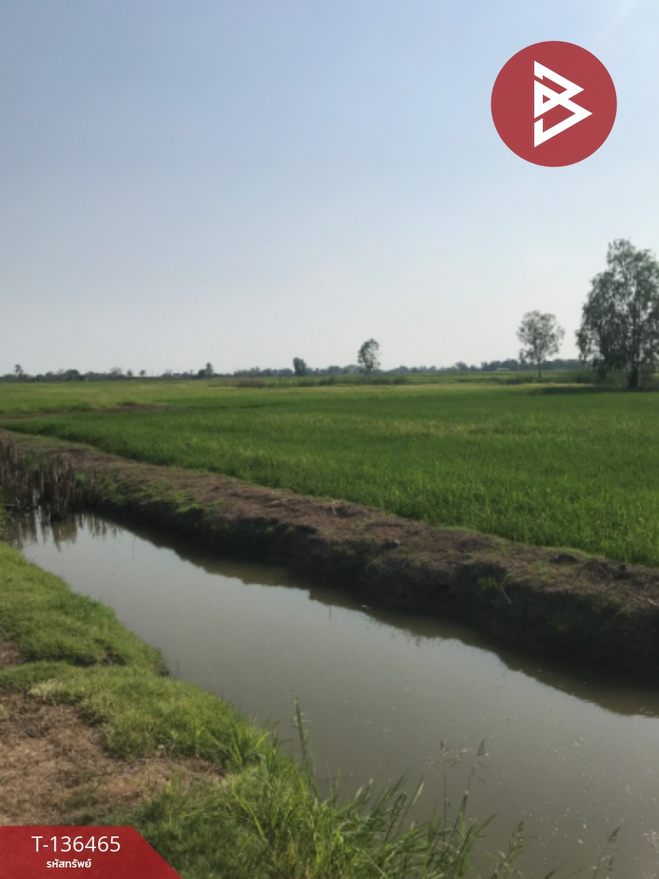 ขายที่ดิน เนื้อที่ 16 ไร่ 3 งาน 4.0 ตารางวา ต.ปากกราน พระนครศรีอยุธยา พื้นที่กว้าง 6