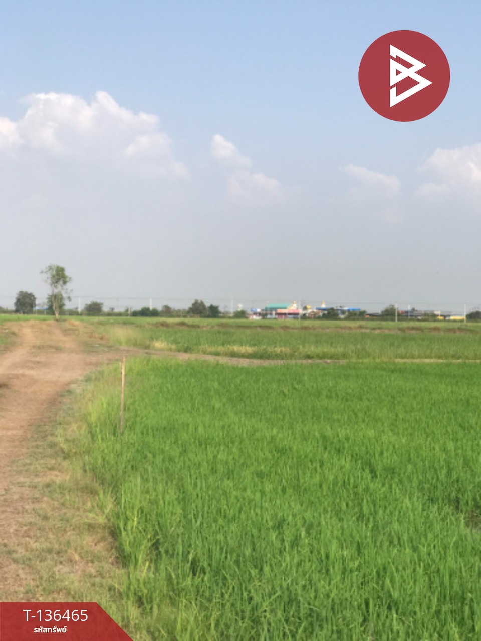 ขายที่ดิน เนื้อที่ 16 ไร่ 3 งาน 4.0 ตารางวา ต.ปากกราน พระนครศรีอยุธยา พื้นที่กว้าง 5