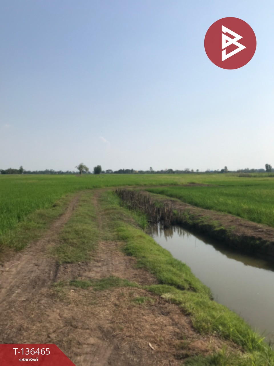 ขายที่ดิน เนื้อที่ 16 ไร่ 3 งาน 4.0 ตารางวา ต.ปากกราน พระนครศรีอยุธยา พื้นที่กว้าง 7