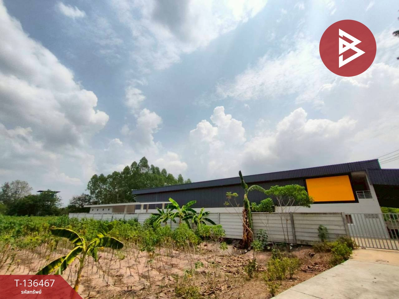 ขายที่ดินพร้อมสิ่งปลูกสร้าง เนื้อที่ 1 ไร่ 2 งาน 40.7 ตร.วา แปลงยาว ฉะเชิงเทรา 12