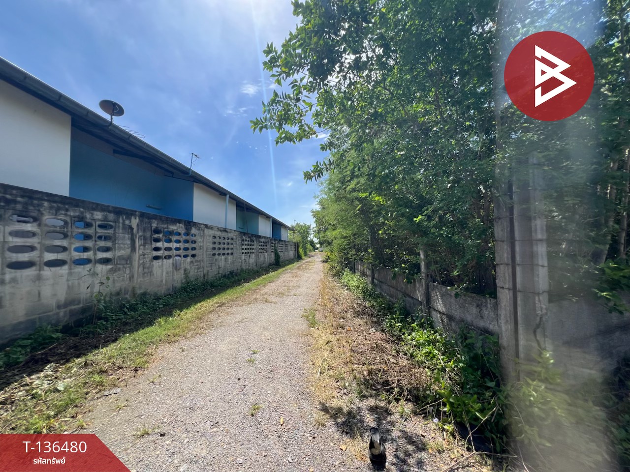 ขายบ้านเดี่ยวชั้นเดียว 186 ตารางวา ลำพยา นครปฐม 5