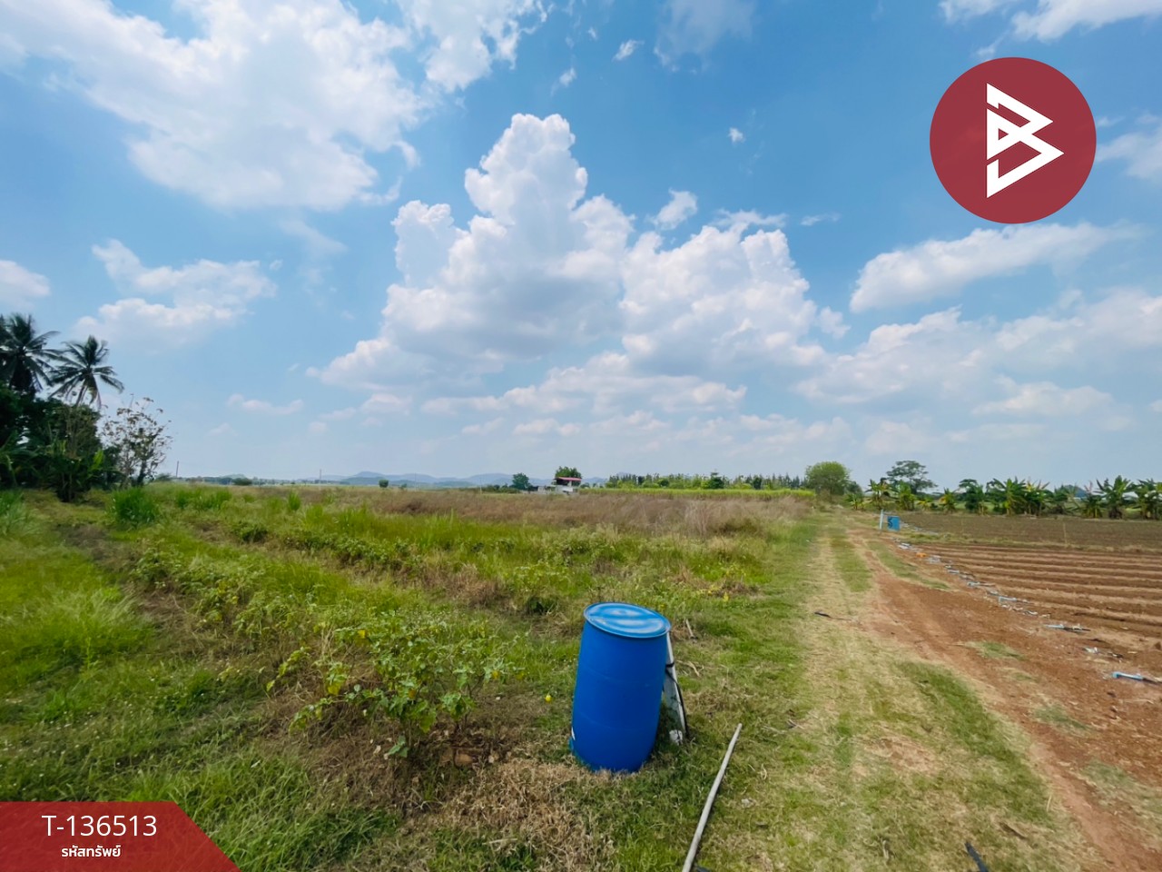 ขายที่ดิน เนื้อที่ 1 ไร่ ต.หนองกวาง โพธาราม ราชบุรี ใกล้วัดหนองกวางใหม่ 12