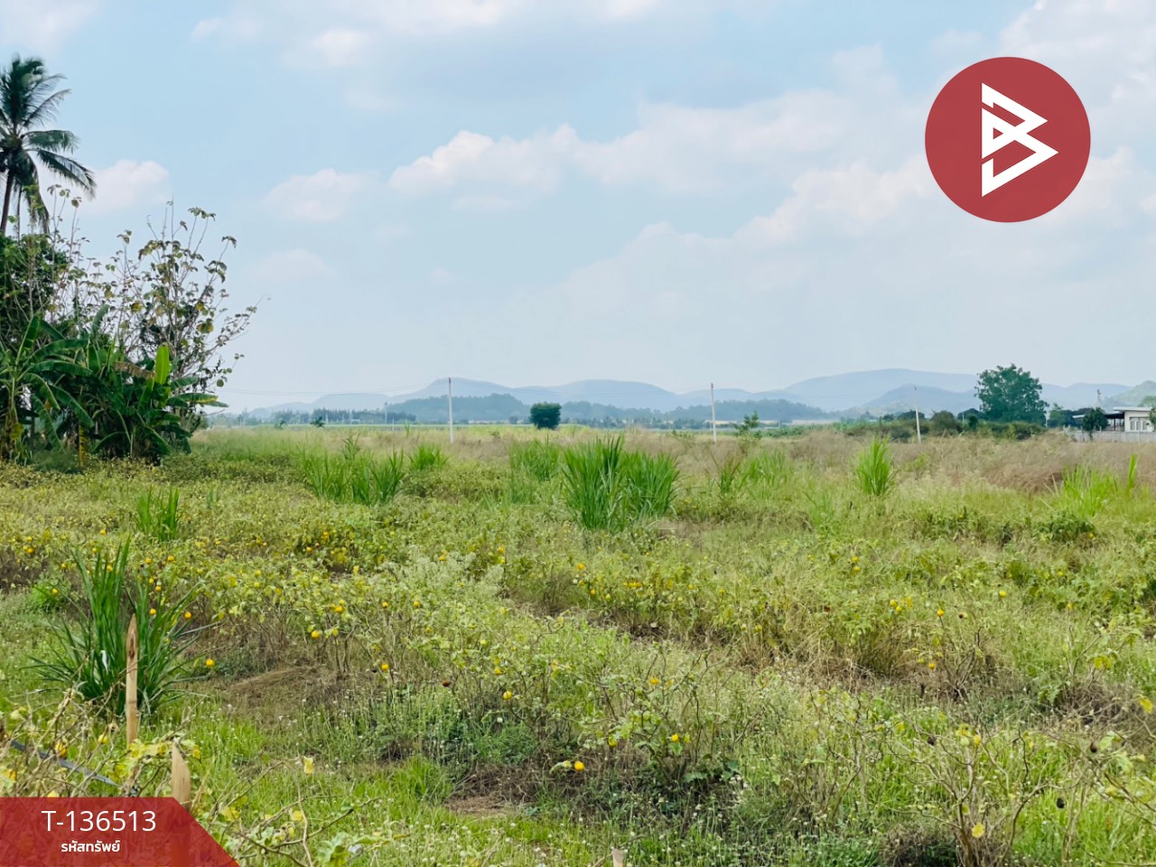 ขายที่ดิน เนื้อที่ 1 ไร่ ต.หนองกวาง โพธาราม ราชบุรี ใกล้วัดหนองกวางใหม่ 2