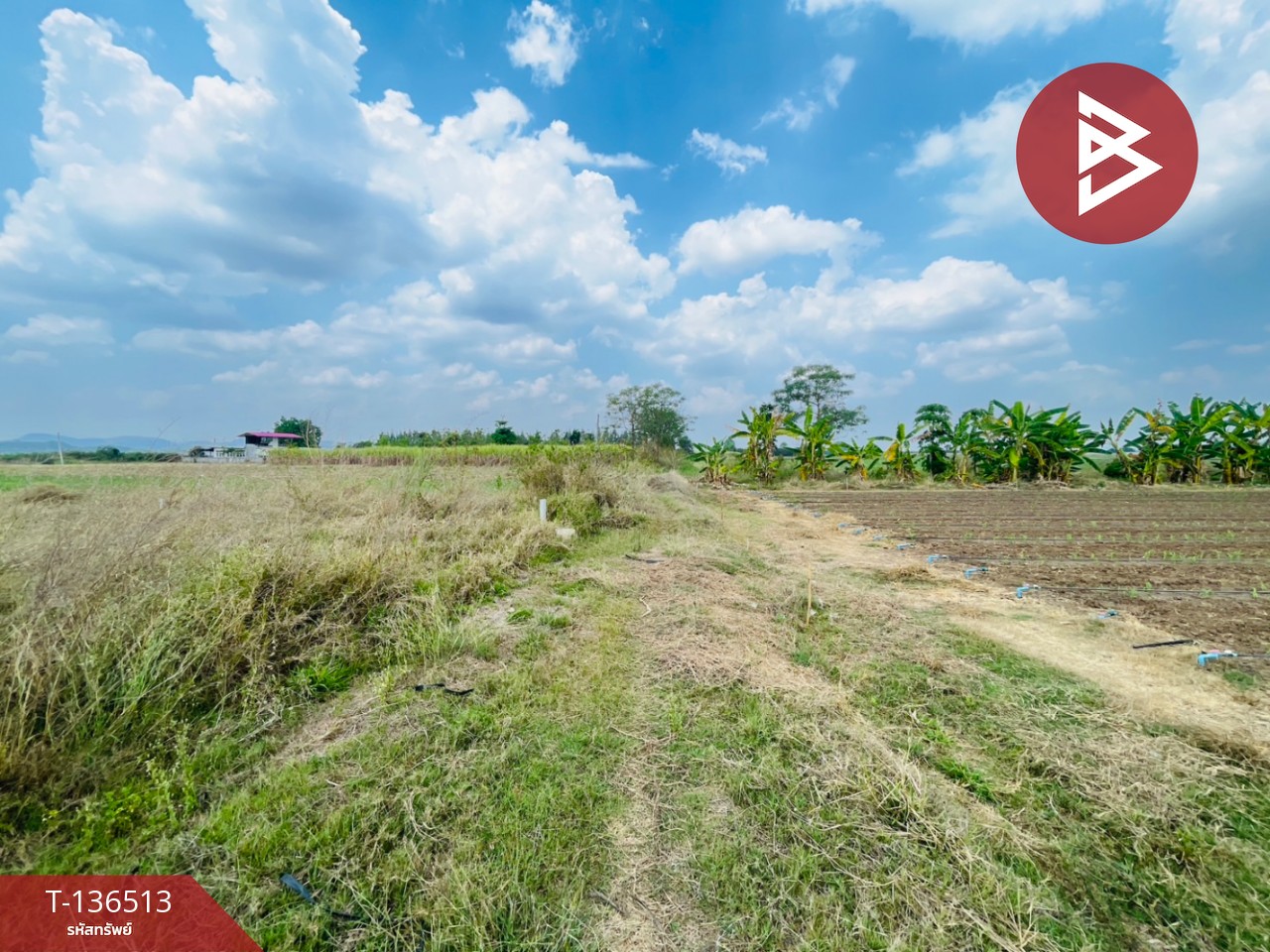 ขายที่ดิน เนื้อที่ 1 ไร่ ต.หนองกวาง โพธาราม ราชบุรี ใกล้วัดหนองกวางใหม่ 9