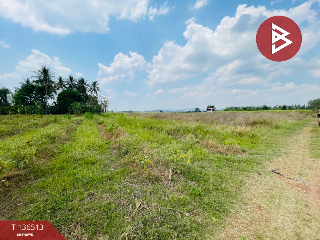 ขายที่ดิน เนื้อที่ 1 ไร่ ต.หนองกวาง โพธาราม ราชบุรี ใกล้วัดหนองกวางใหม่ 1