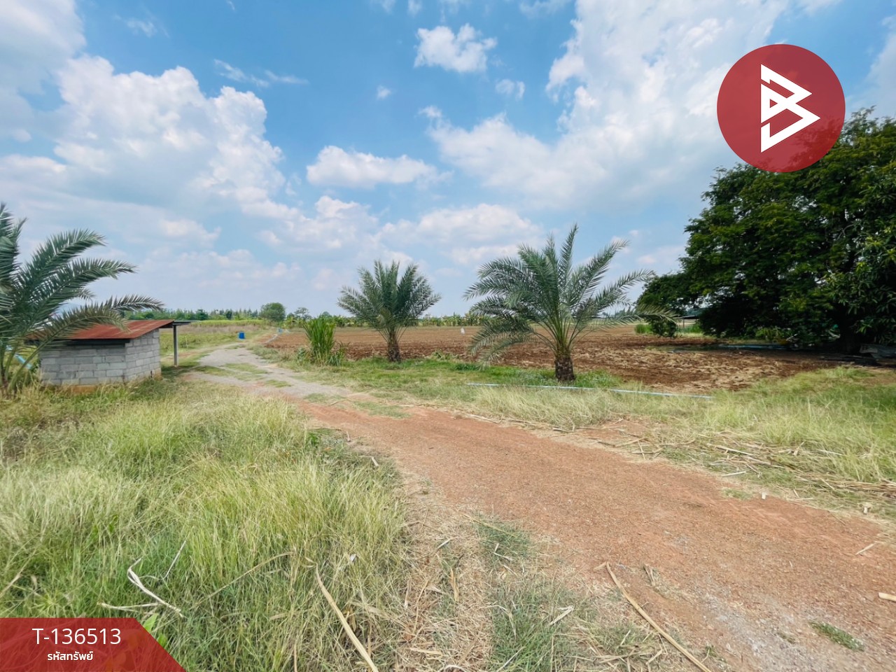 ขายที่ดิน เนื้อที่ 1 ไร่ ต.หนองกวาง โพธาราม ราชบุรี ใกล้วัดหนองกวางใหม่ 10