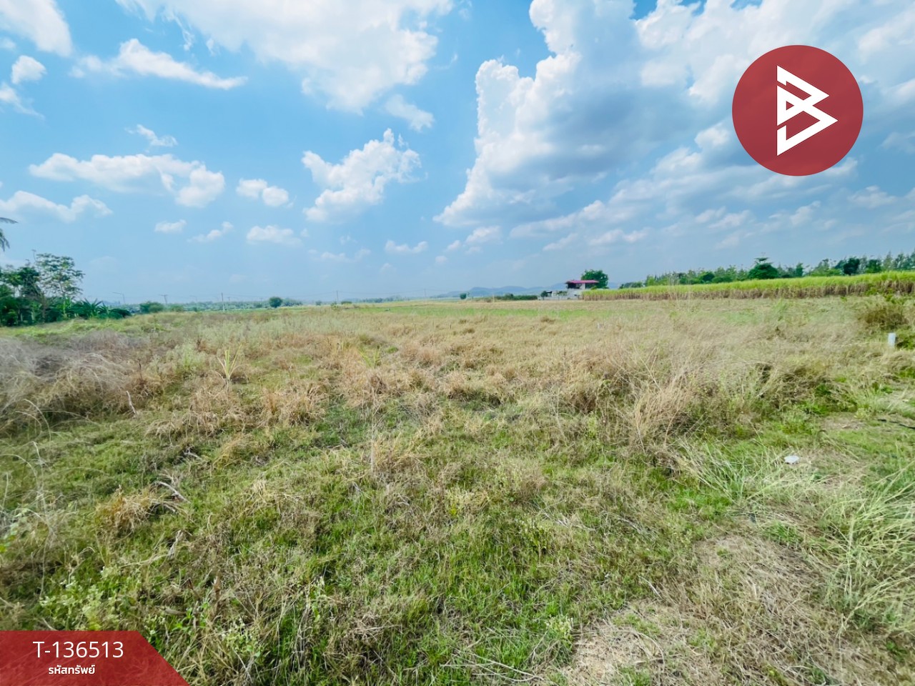 ขายที่ดิน เนื้อที่ 1 ไร่ ต.หนองกวาง โพธาราม ราชบุรี ใกล้วัดหนองกวางใหม่ 14