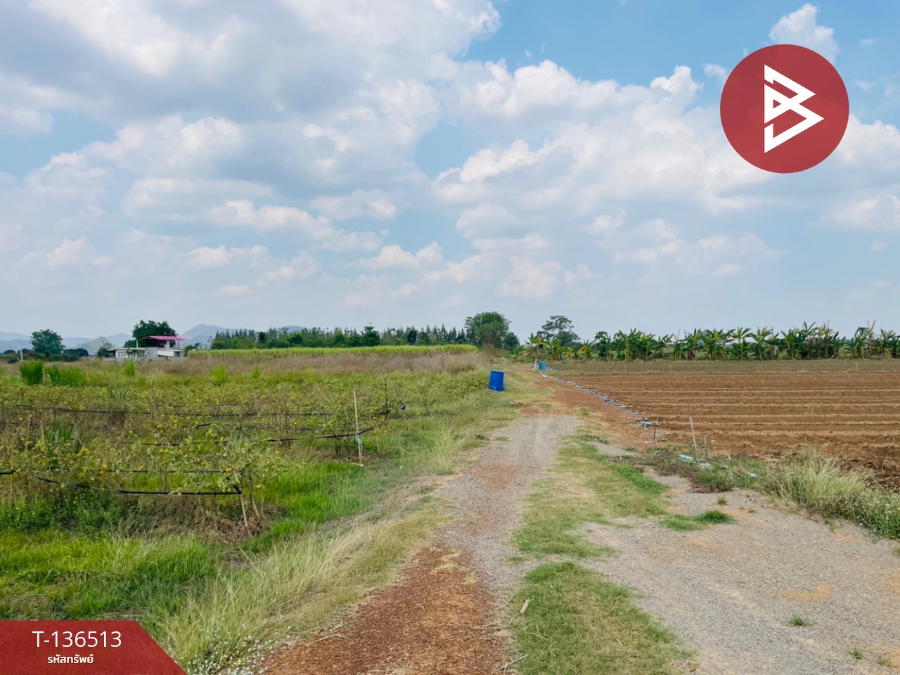 ขายที่ดิน เนื้อที่ 1 ไร่ ต.หนองกวาง โพธาราม ราชบุรี ใกล้วัดหนองกวางใหม่ 8