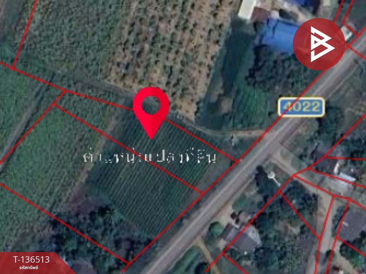 ขายที่ดิน เนื้อที่ 1 ไร่ ต.หนองกวาง โพธาราม ราชบุรี ใกล้วัดหนองกวางใหม่ 15