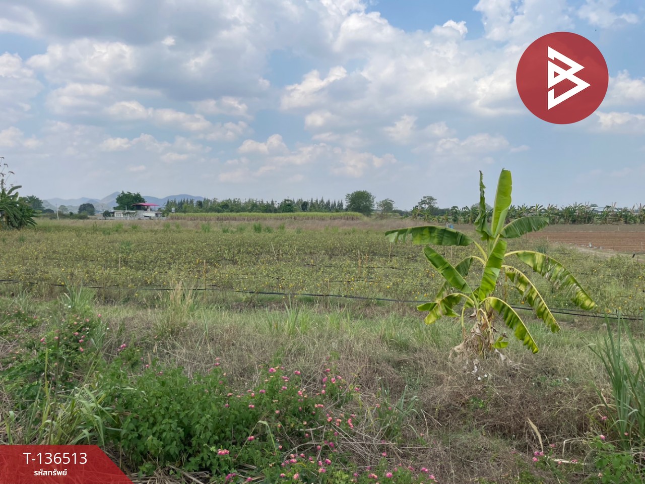 ขายที่ดิน เนื้อที่ 1 ไร่ ต.หนองกวาง โพธาราม ราชบุรี ใกล้วัดหนองกวางใหม่ 6