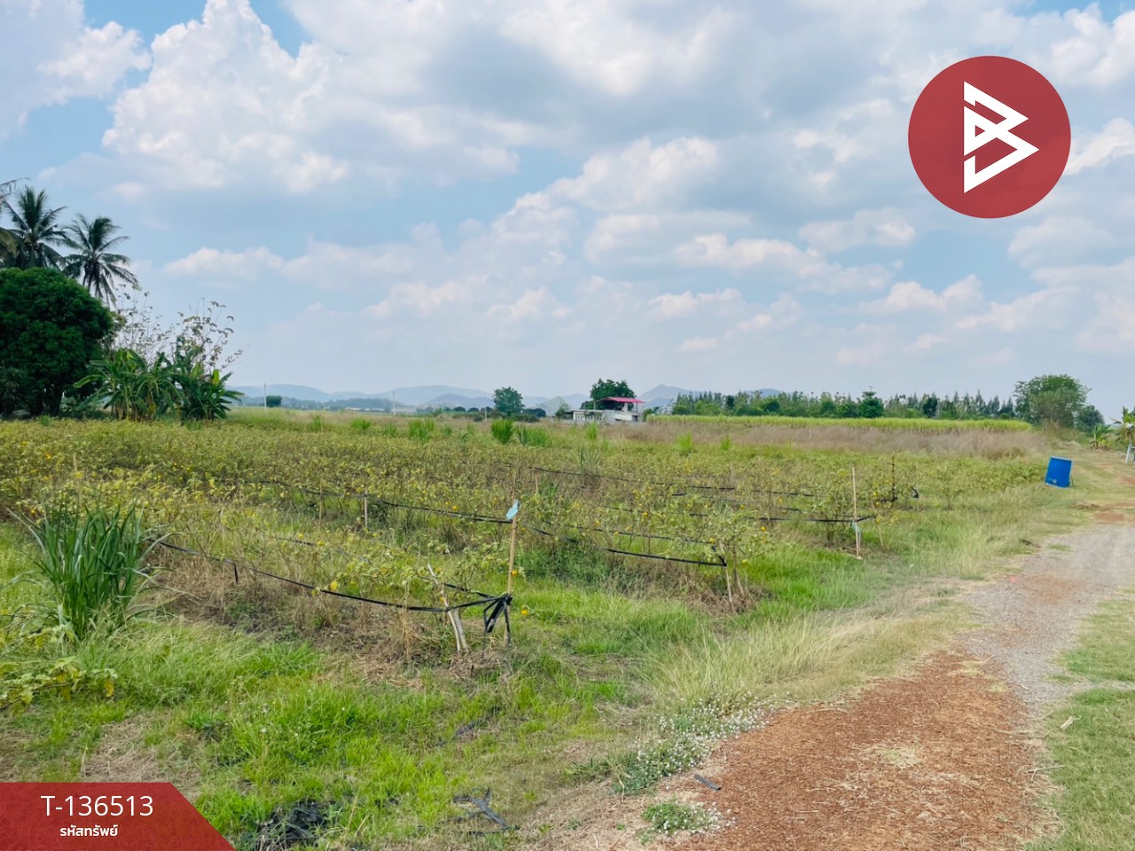 ขายที่ดิน เนื้อที่ 1 ไร่ ต.หนองกวาง โพธาราม ราชบุรี ใกล้วัดหนองกวางใหม่ 5