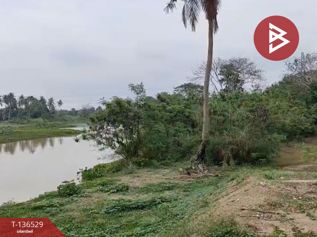 ขายที่ดินจัดสรร เนื้อที่ 3 งาน 19.8 ตารางวา ท่ายาง เพชรบุรี 6