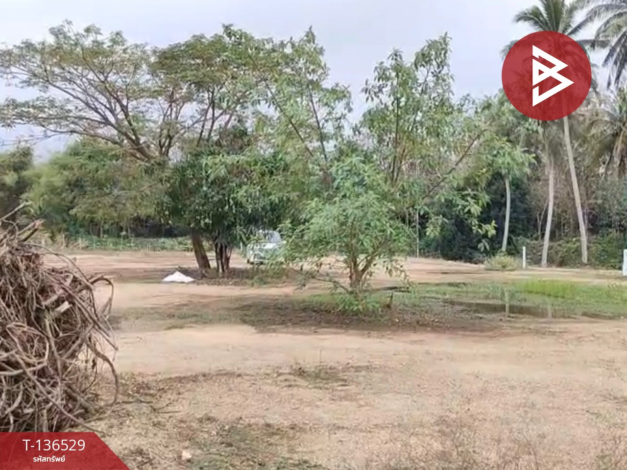 ขายที่ดินจัดสรร เนื้อที่ 3 งาน 19.8 ตารางวา ท่ายาง เพชรบุรี 8