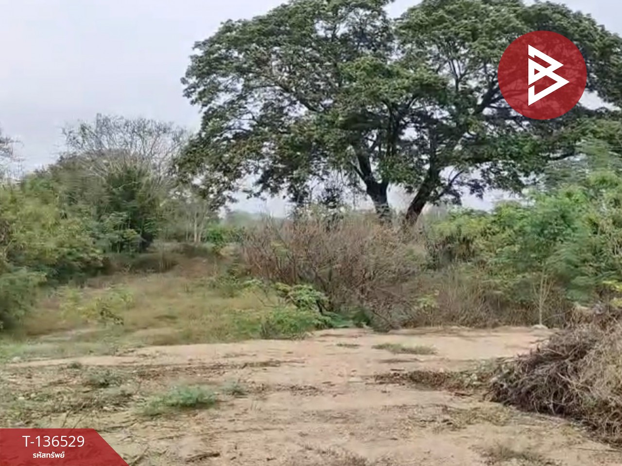 ขายที่ดินจัดสรร เนื้อที่ 3 งาน 19.8 ตารางวา ท่ายาง เพชรบุรี 4