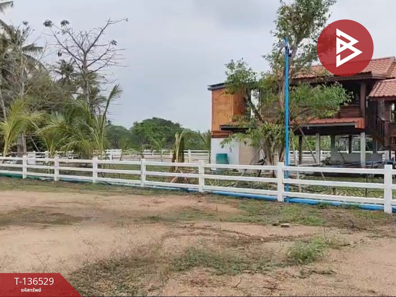 ขายที่ดินจัดสรร เนื้อที่ 3 งาน 19.8 ตารางวา ท่ายาง เพชรบุรี 10