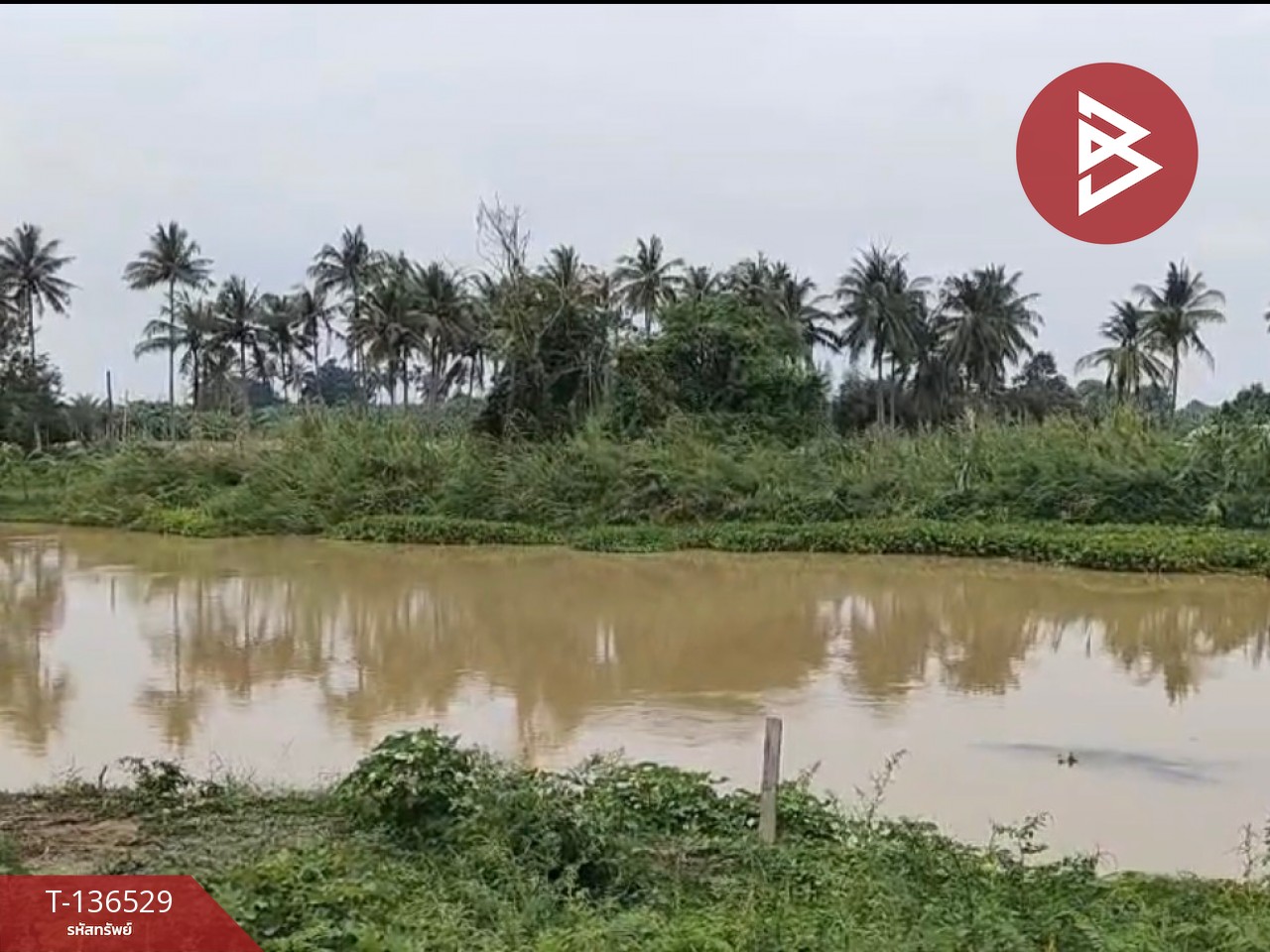 ขายที่ดินจัดสรร เนื้อที่ 3 งาน 19.8 ตารางวา ท่ายาง เพชรบุรี 3