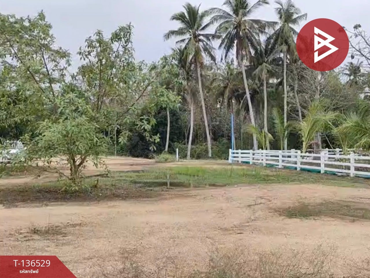 ขายที่ดินจัดสรร เนื้อที่ 3 งาน 19.8 ตารางวา ท่ายาง เพชรบุรี 1