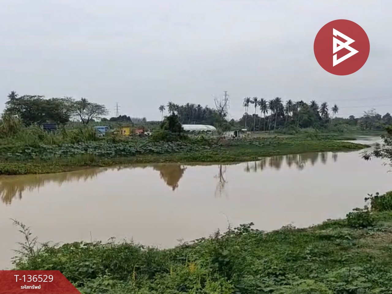 ขายที่ดินจัดสรร เนื้อที่ 3 งาน 19.8 ตารางวา ท่ายาง เพชรบุรี 9