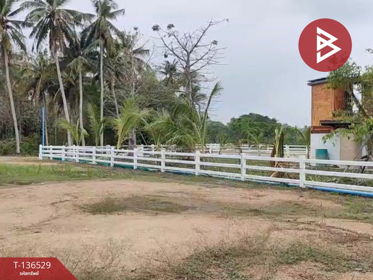 ขายที่ดินจัดสรร เนื้อที่ 3 งาน 19.8 ตารางวา ท่ายาง เพชรบุรี 2