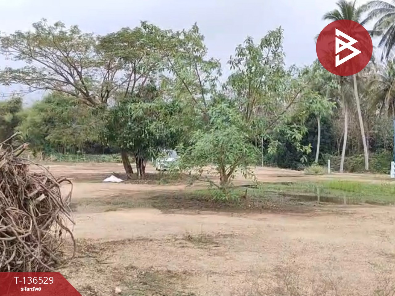 ขายที่ดินจัดสรร เนื้อที่ 3 งาน 19.8 ตารางวา ท่ายาง เพชรบุรี 11