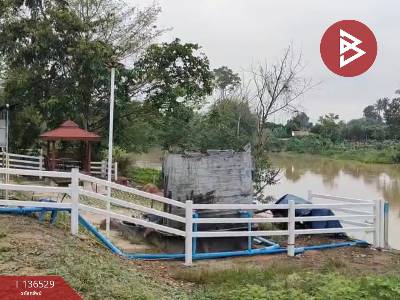 ขายที่ดินจัดสรร เนื้อที่ 3 งาน 19.8 ตารางวา ท่ายาง เพชรบุรี 7