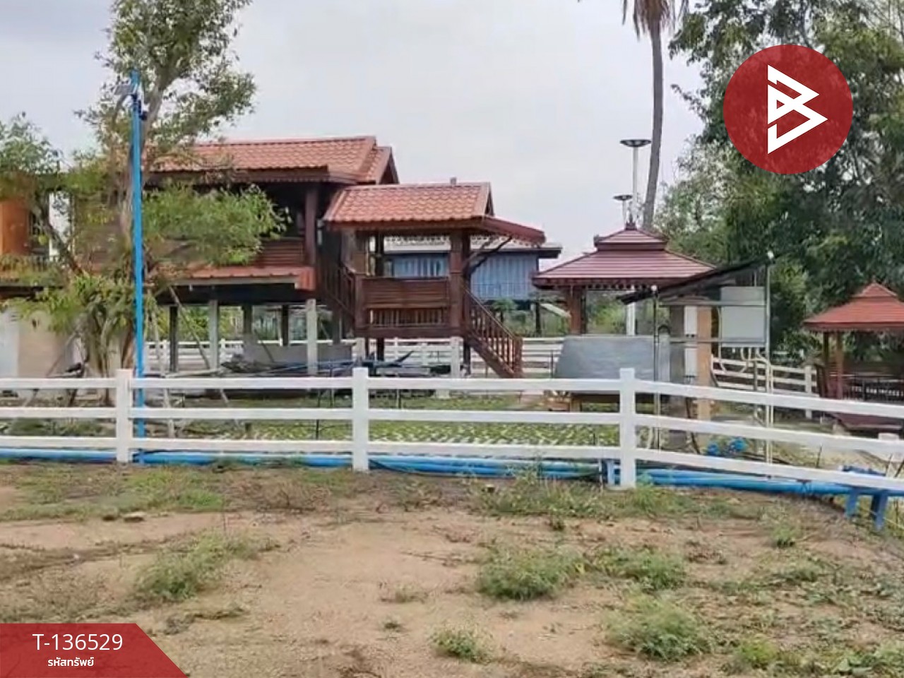 ขายที่ดินจัดสรร เนื้อที่ 3 งาน 19.8 ตารางวา ท่ายาง เพชรบุรี 5