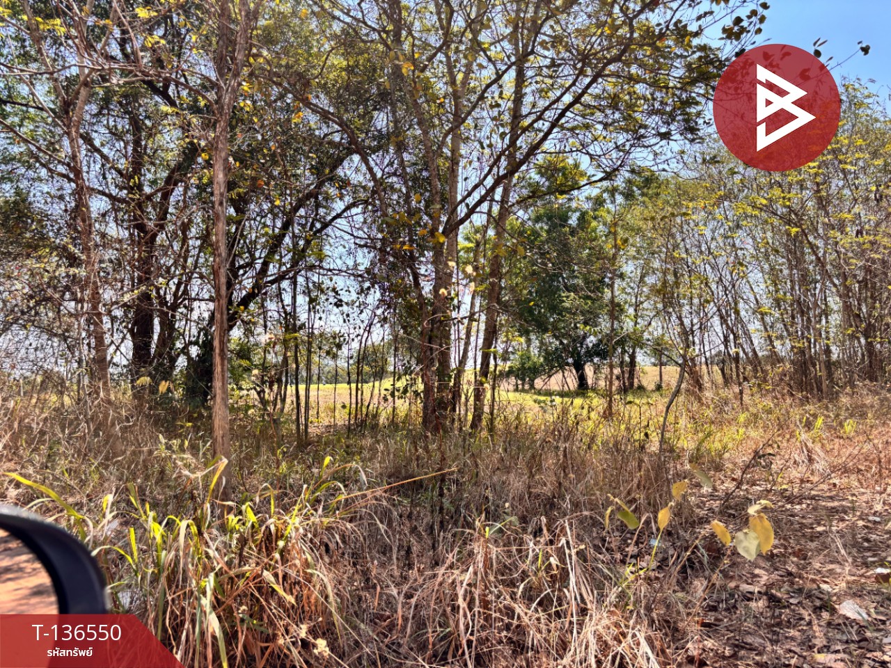 ขายที่ดิน เนื้อที่ 2 ไร่ 19.9 ตารางวา ชะอำ เพชรบุรี ทำเลสวย 3