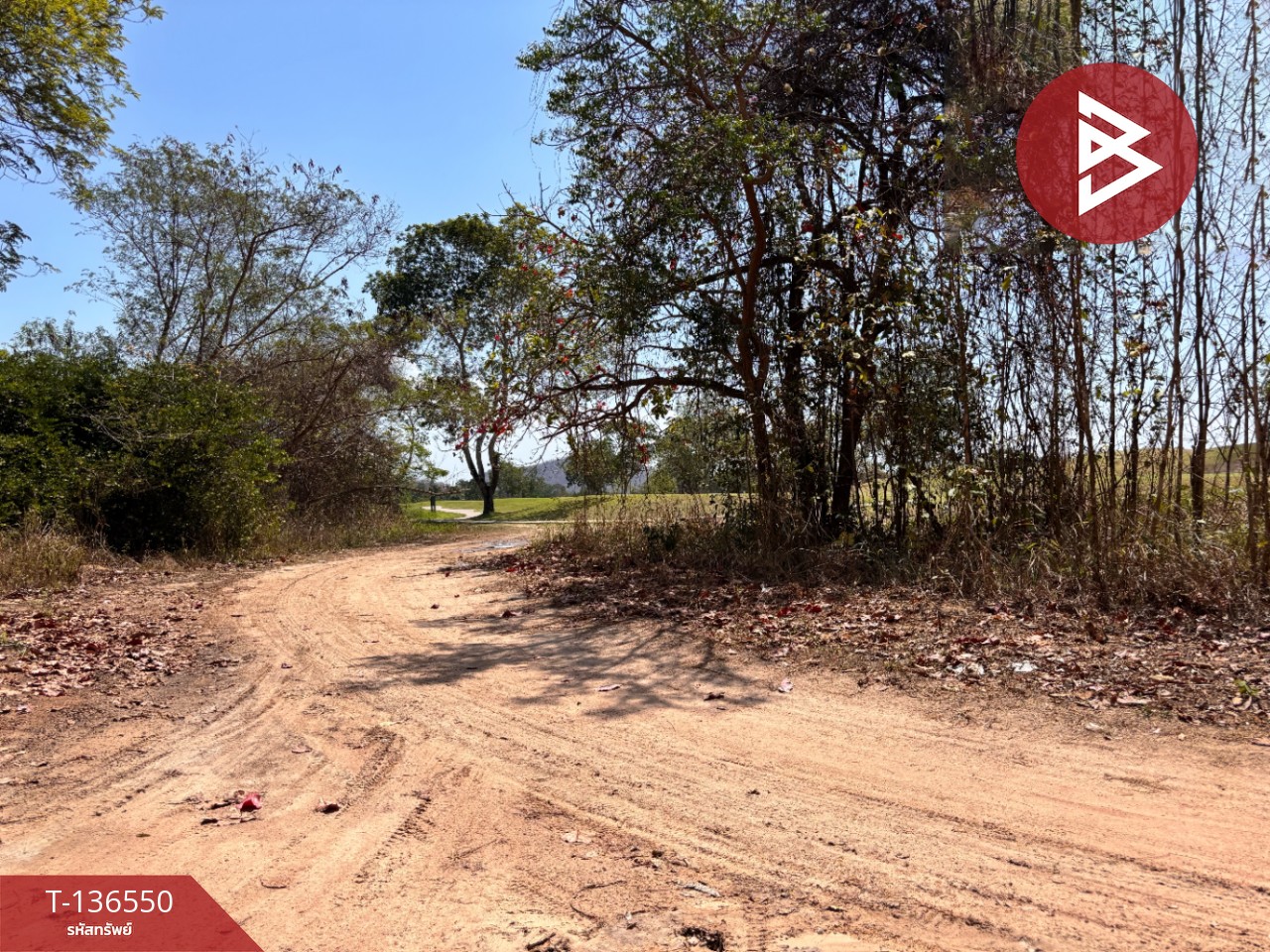 ขายที่ดิน เนื้อที่ 2 ไร่ 19.9 ตารางวา ชะอำ เพชรบุรี ทำเลสวย 2