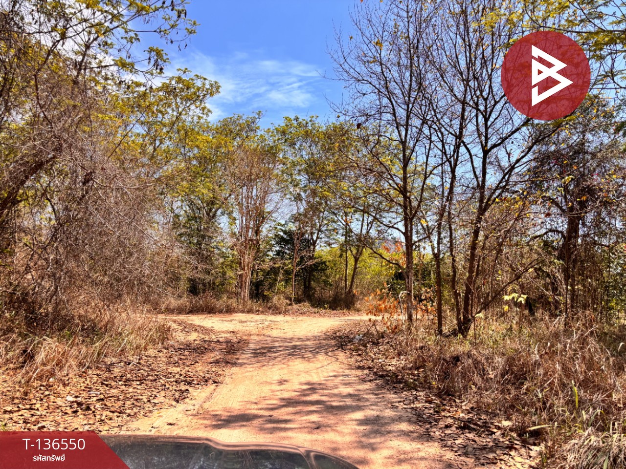 ขายที่ดิน เนื้อที่ 2 ไร่ 19.9 ตารางวา ชะอำ เพชรบุรี ทำเลสวย 1