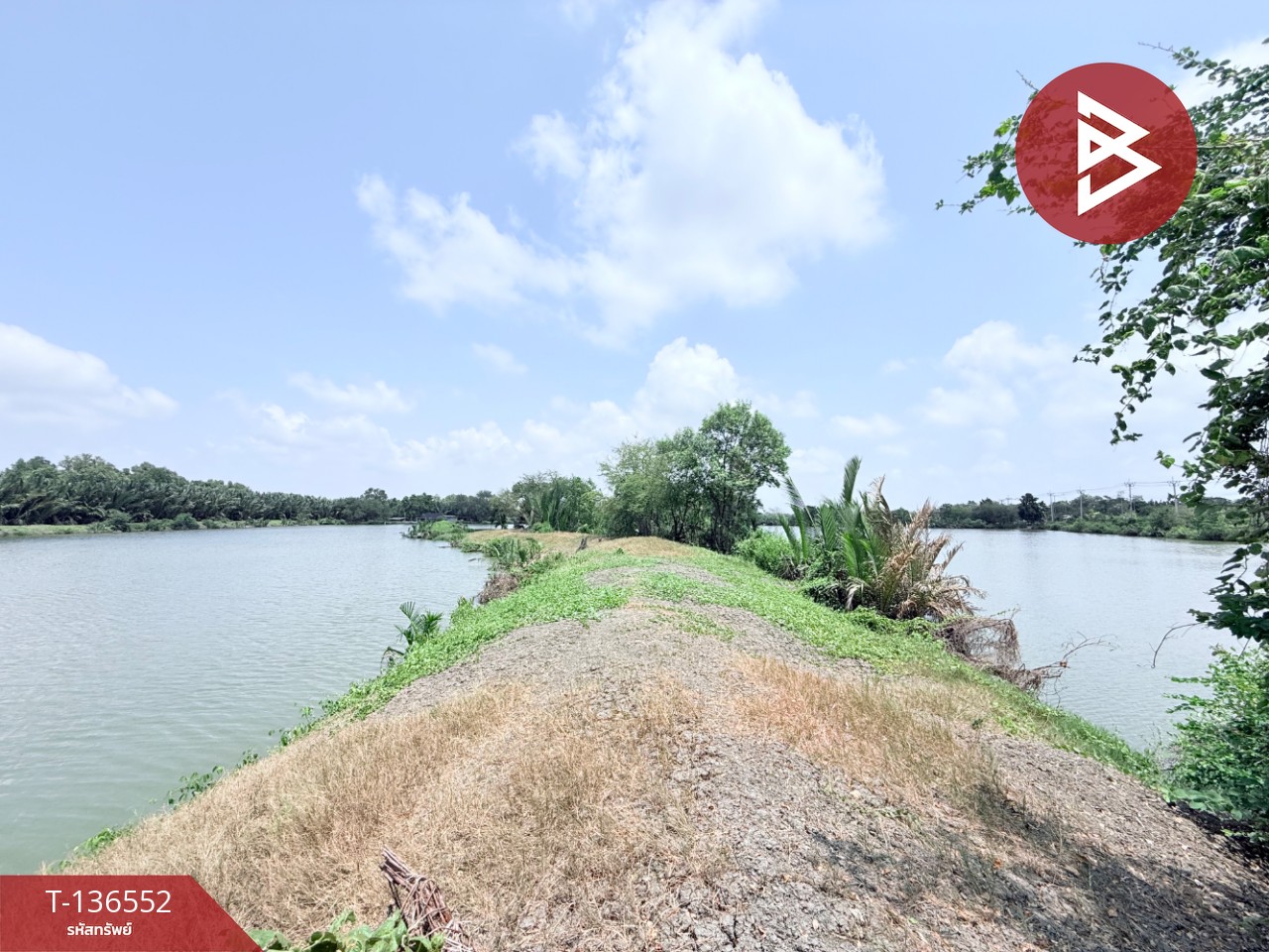 ขายที่ดิน 45 ไร่ 3 งาน 24 ตารางวา พระสมุทรเจดีย์ สมุทรปราการ 9