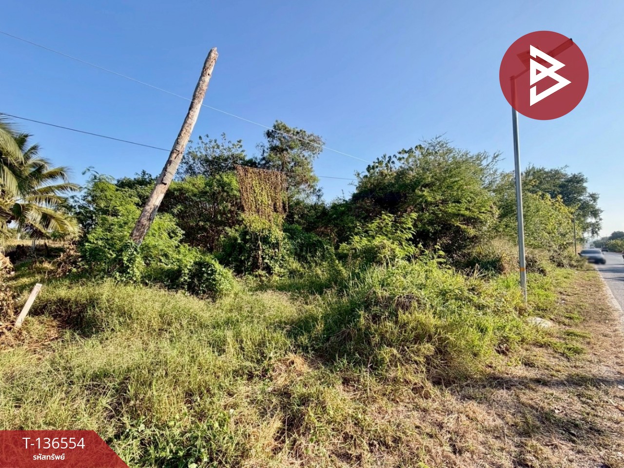 ขายที่ดิน เนื้อที่ 2 ไร่ ปากช่อง นครราชสีมา 3