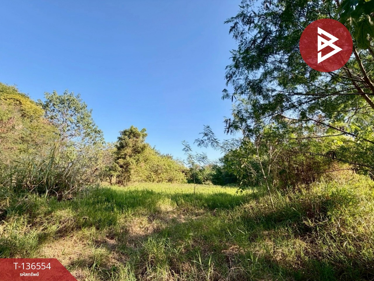 ขายที่ดิน เนื้อที่ 2 ไร่ ปากช่อง นครราชสีมา 1