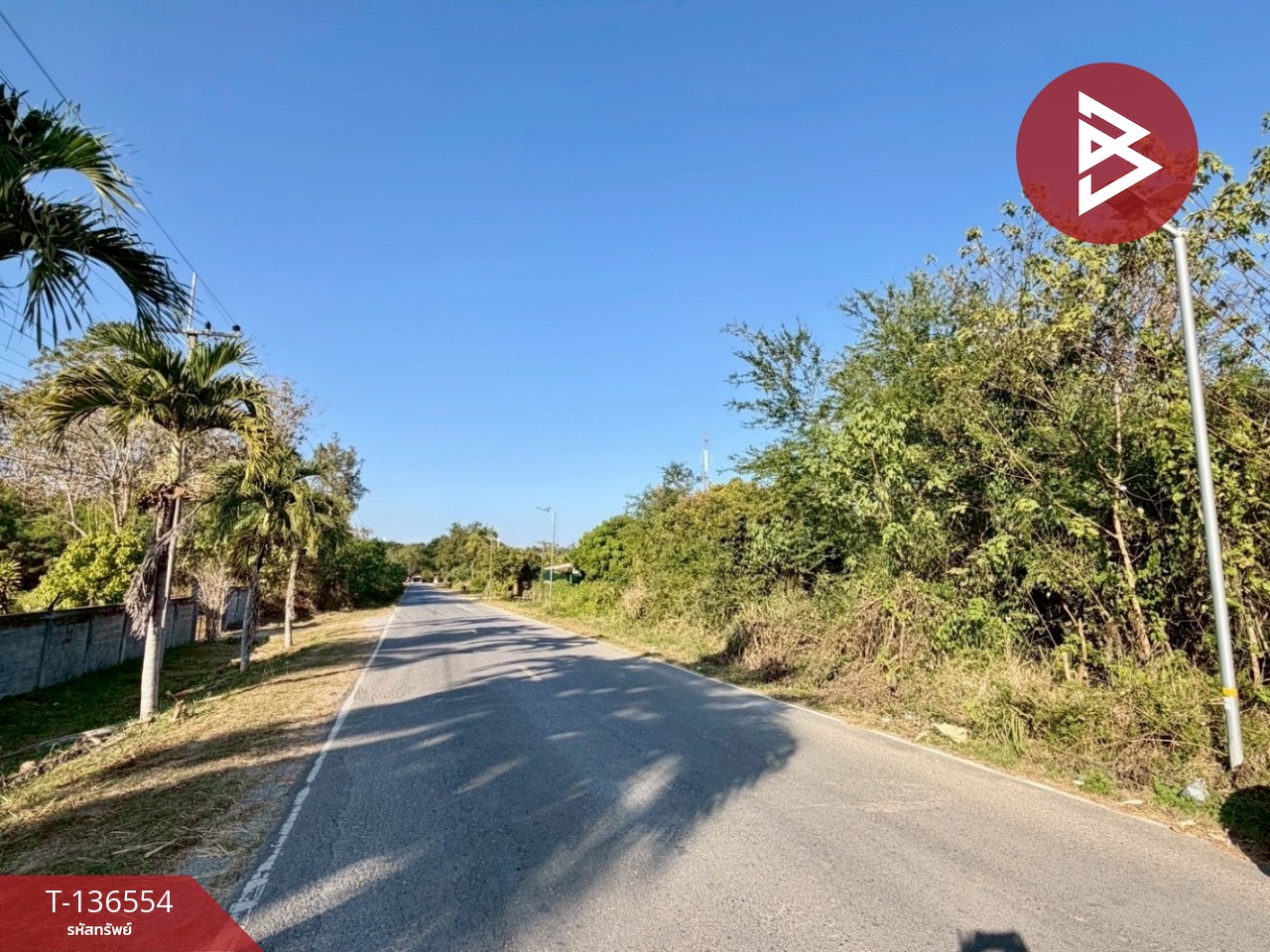 ขายที่ดิน เนื้อที่ 2 ไร่ ปากช่อง นครราชสีมา 6