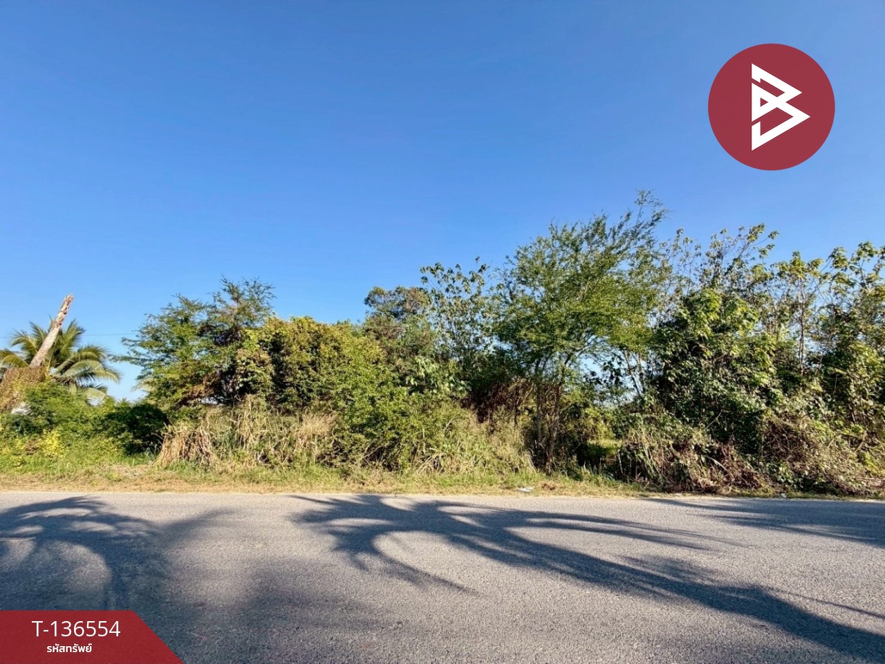 ขายที่ดิน เนื้อที่ 2 ไร่ ปากช่อง นครราชสีมา 5