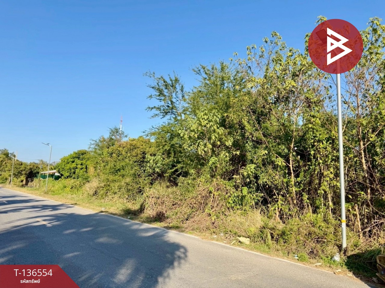 ขายที่ดิน เนื้อที่ 2 ไร่ ปากช่อง นครราชสีมา 7