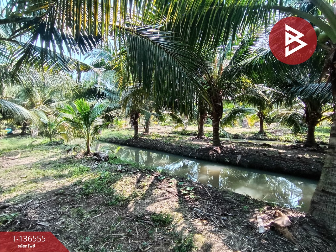 ขายที่ดิน เนื้อที่ 1 ไร่ 12 ตร.วา บางแพ ราชบุรี 14