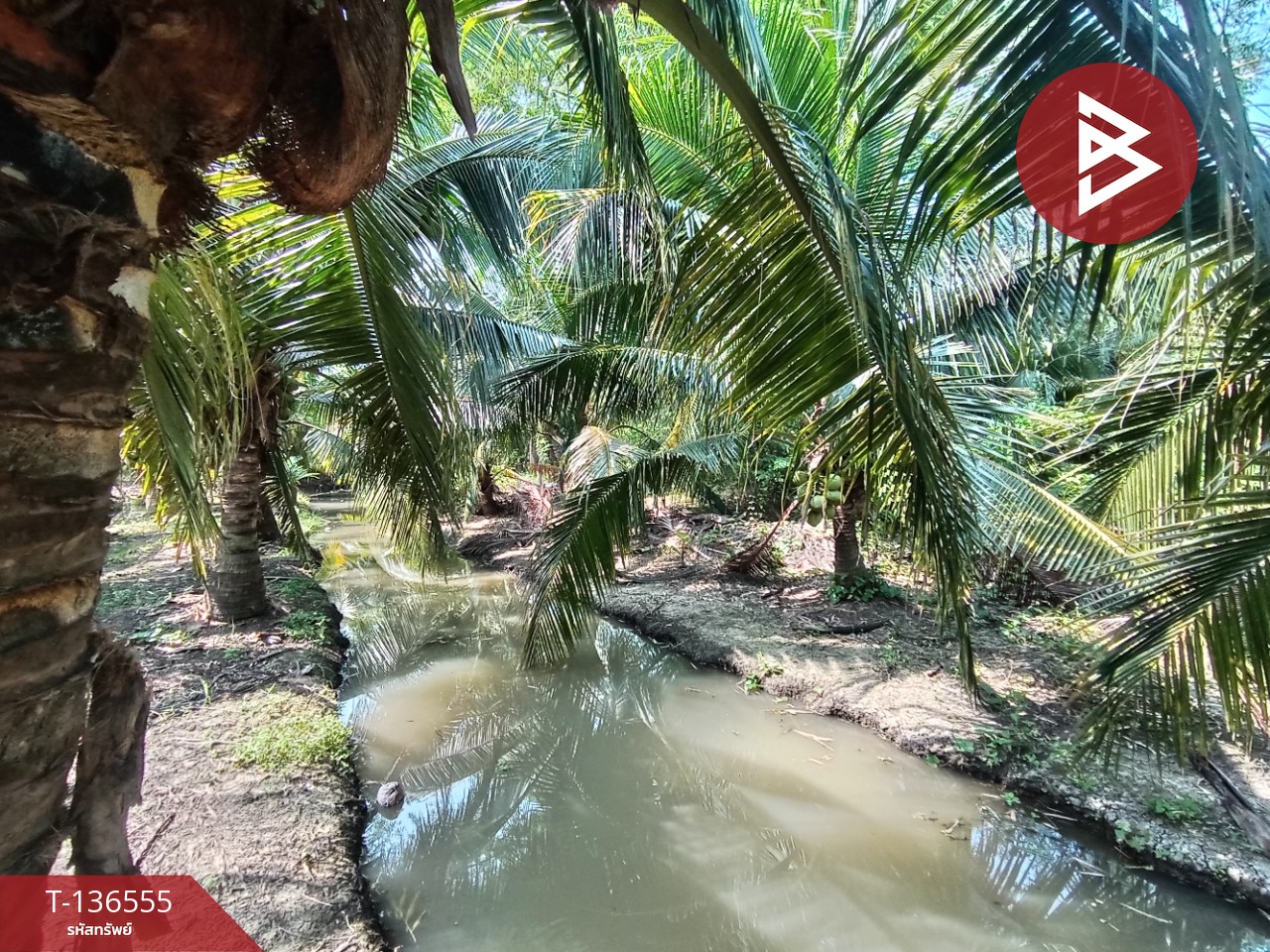 ขายที่ดิน เนื้อที่ 1 ไร่ 12 ตร.วา บางแพ ราชบุรี 13