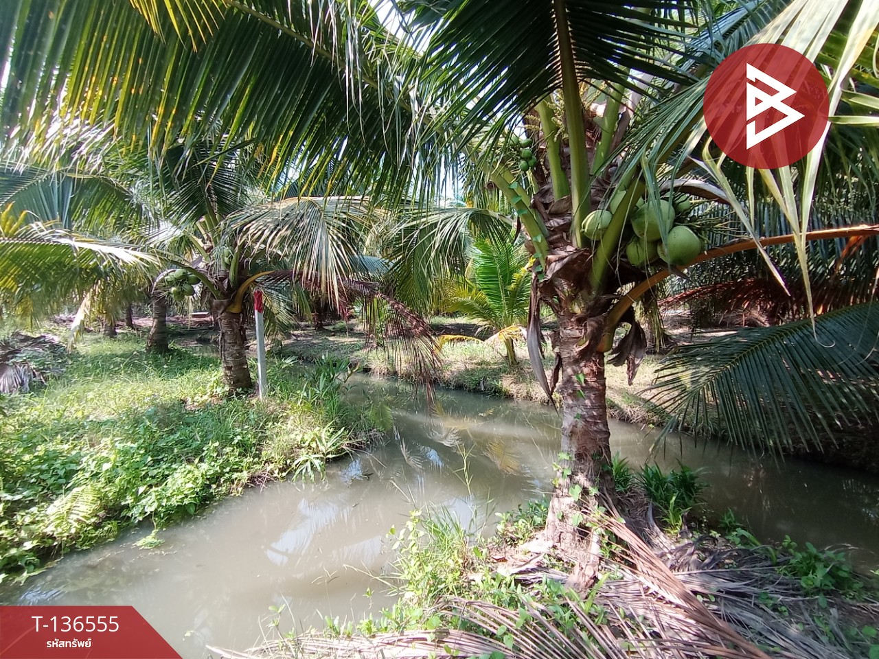 ขายที่ดิน เนื้อที่ 1 ไร่ 12 ตร.วา บางแพ ราชบุรี 15